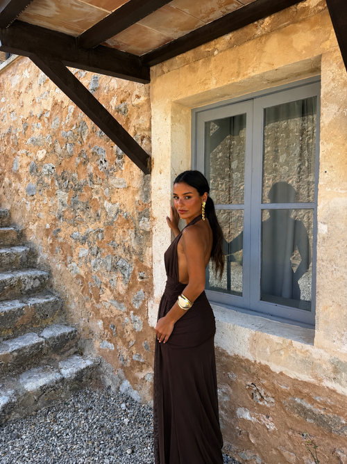 Aina Brown Dress